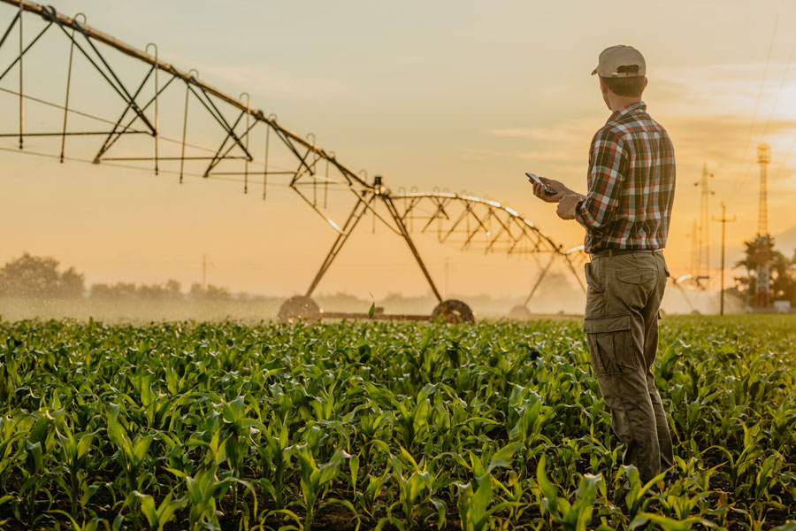 Tasmanian Irrigation growing state’s agricultural sector with digital uplift - TechnologyOne
